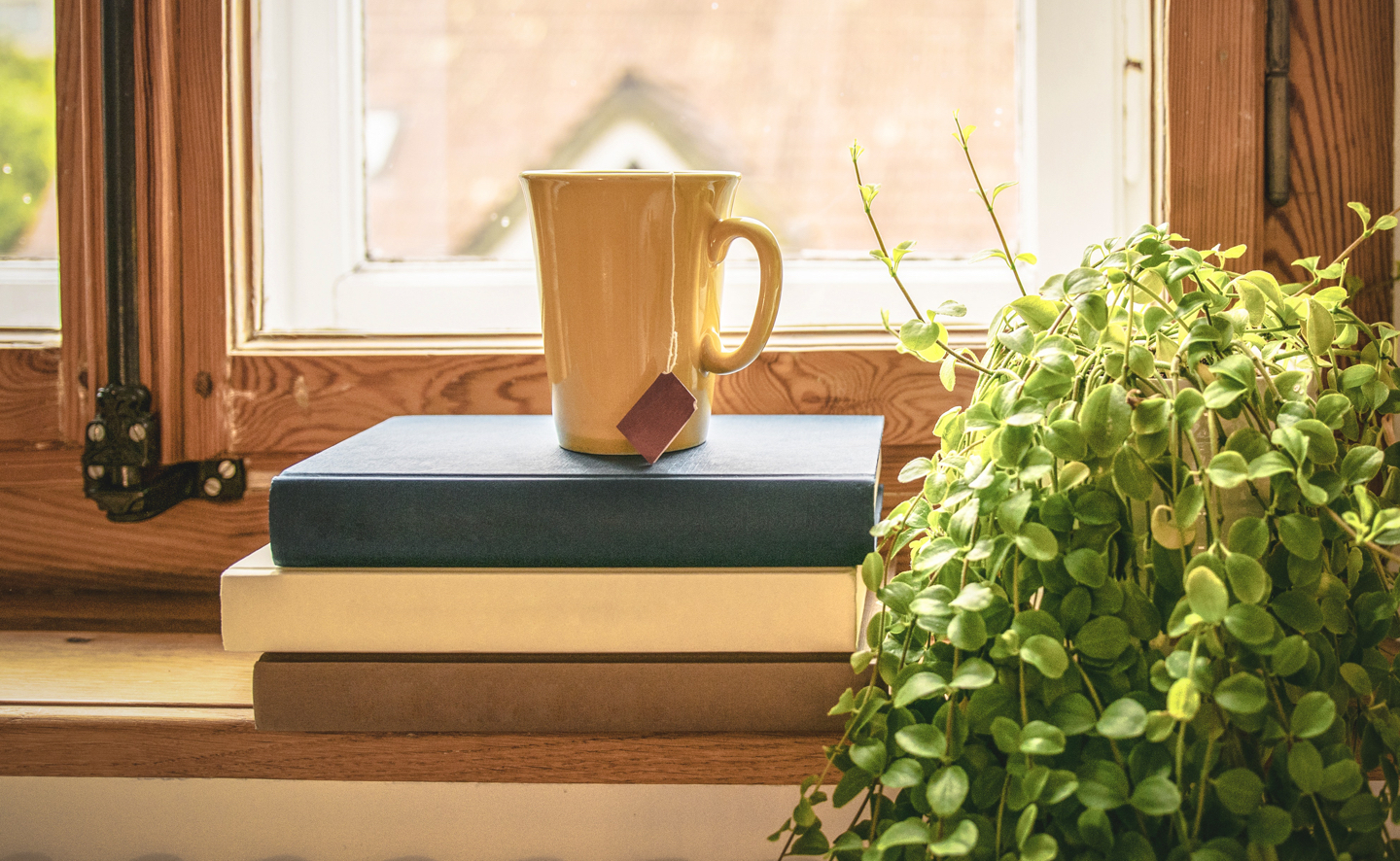 Taza de café