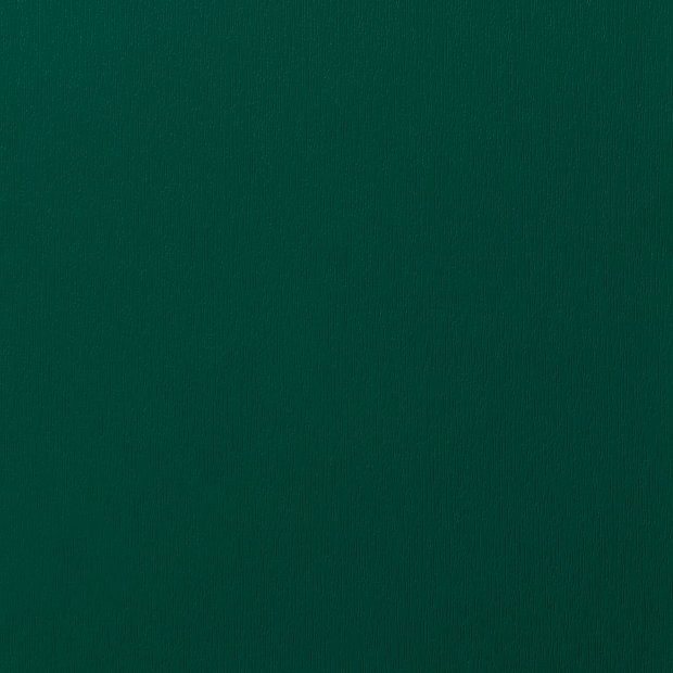 53 Verde musgo