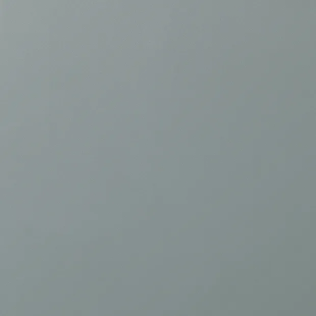 HZ Gris bruma