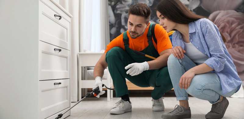 Consejos para combatir bichos en casa