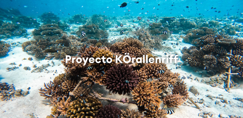 proyecto sostenible korallenriff