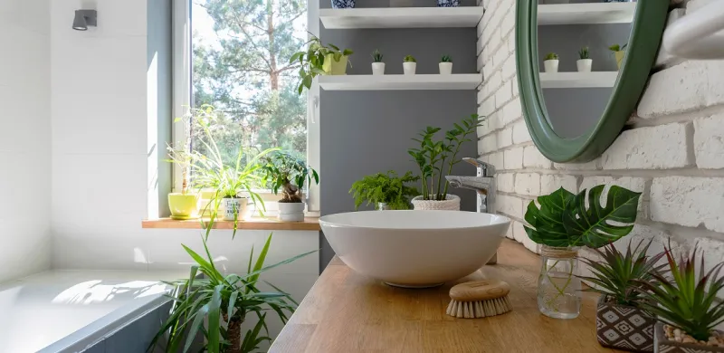Baño moderno con ventana grande y plantas, ideal para aprovechar la luz natural