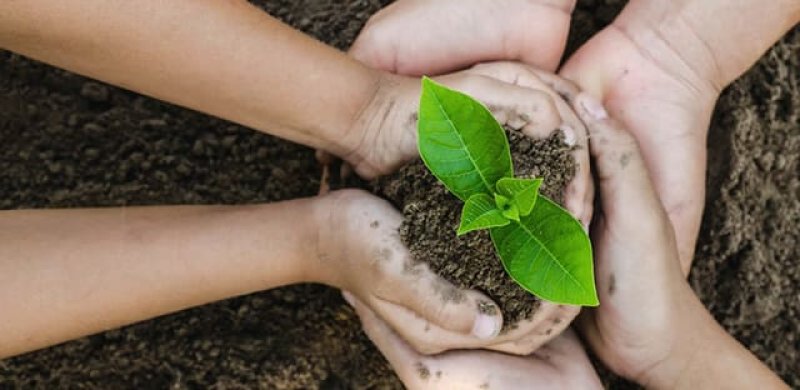 Las consecuencias del malgasto de energía en el planeta