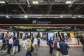 Veteco 2024